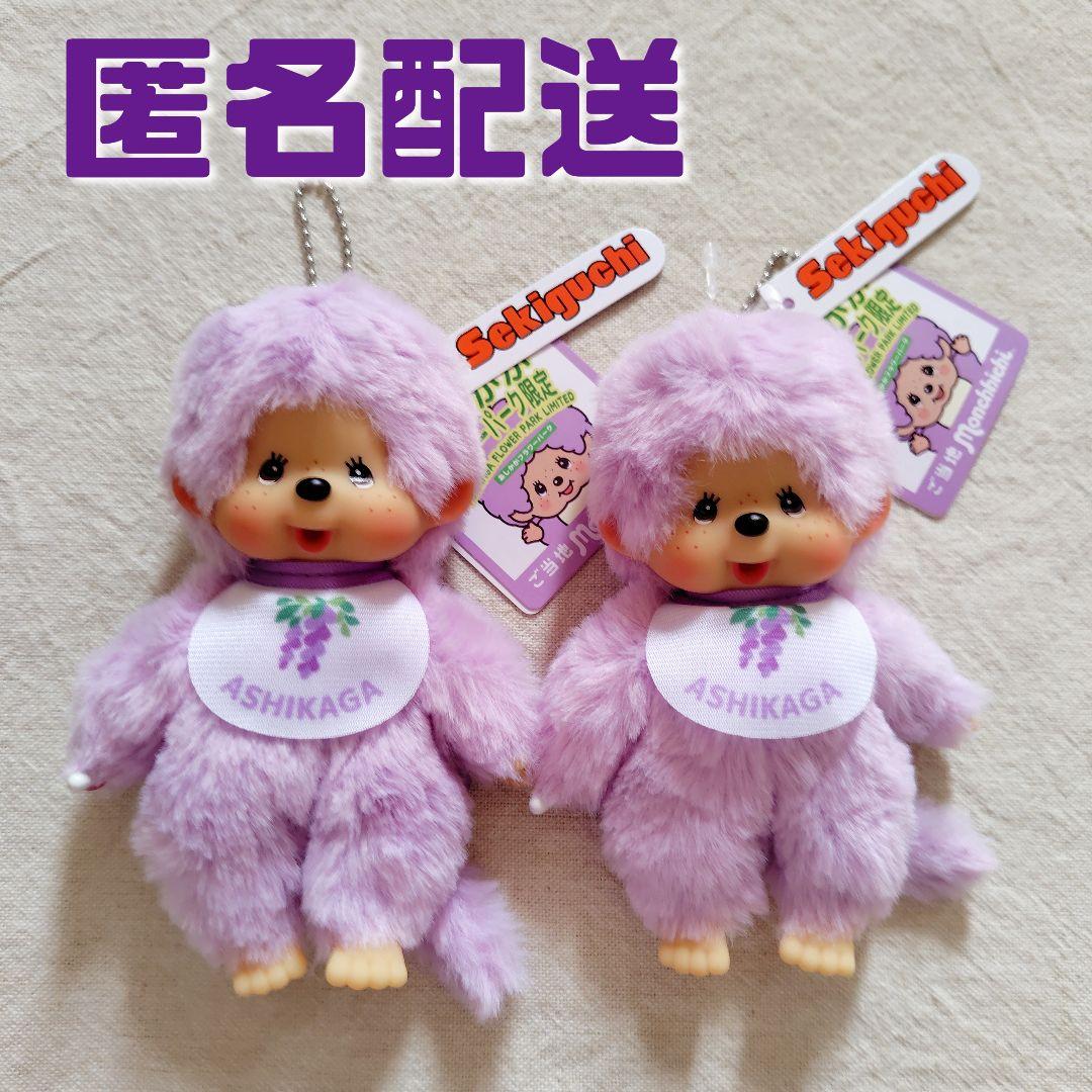 モンチッチ　ご当地モンチッチ　あしかがフラワーパーク限定モンチッチ　マスコット