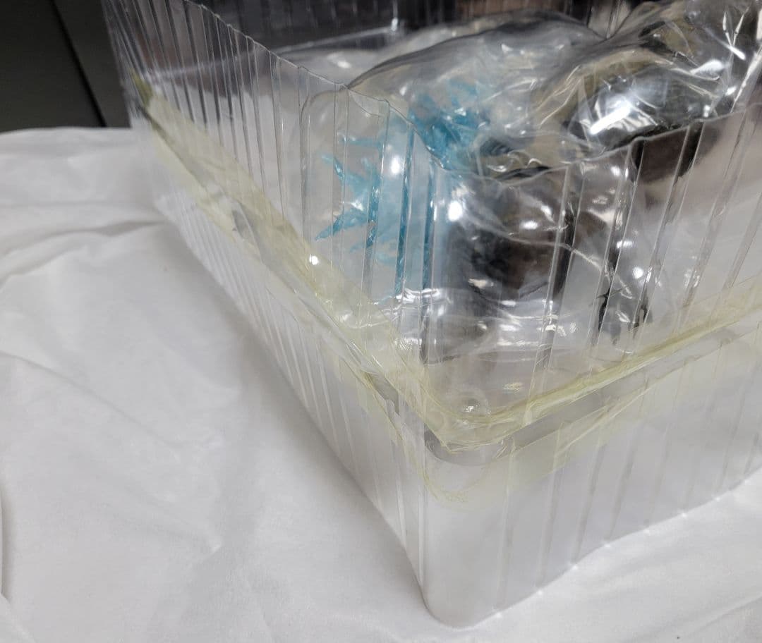 一番くじ ゴジラ-1.0 ラストワン賞