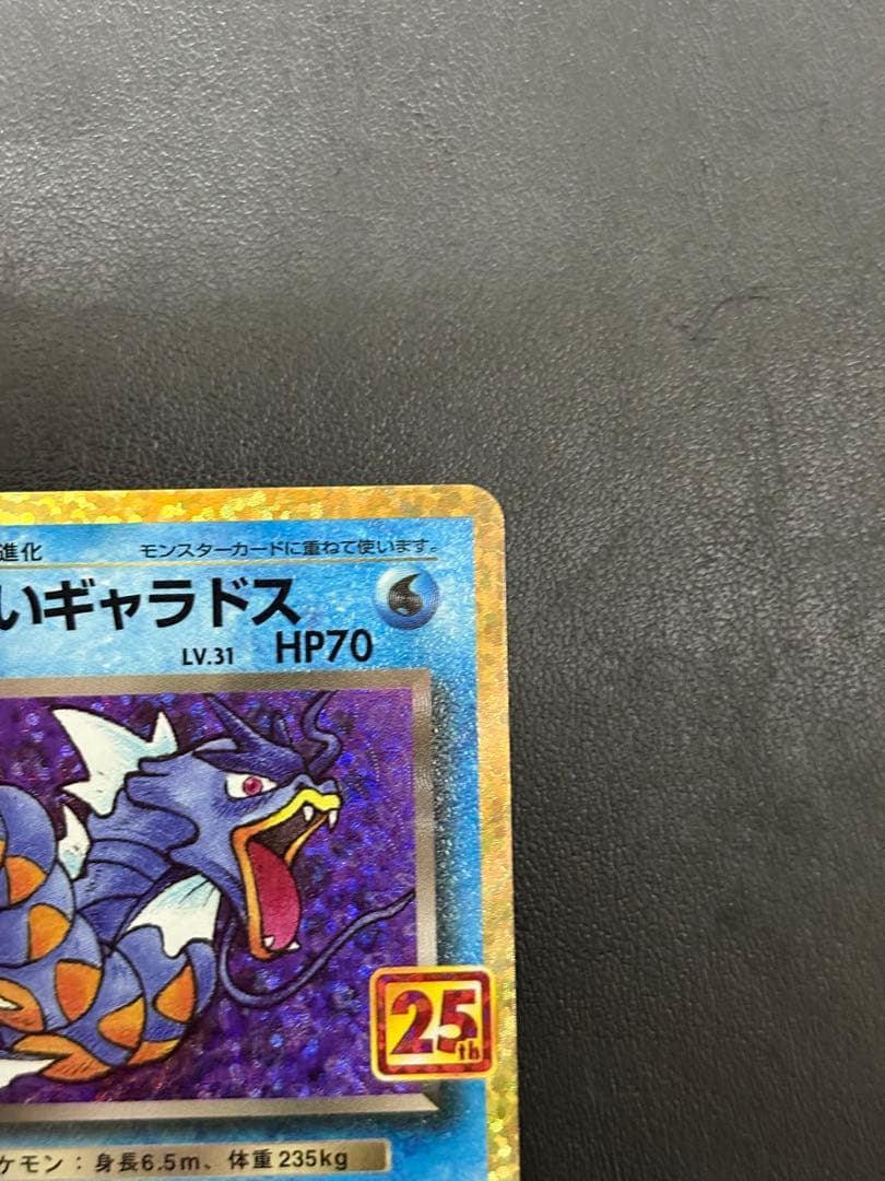 【美品】わるいギャラドス プロモカードパック 25th ポケモンカード