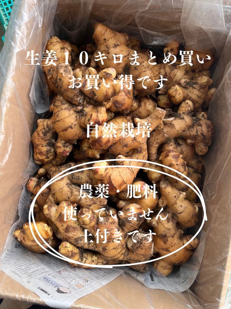 大分県産・自然栽培【農薬・肥料使っていません】生姜 10キロ　土付きです！