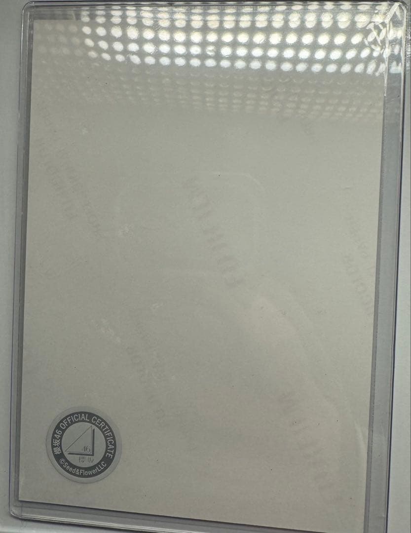 おまけ付き 櫻坂46 田村保乃 直筆サイン入2025年サンタ衣装 ヒキ 生写真