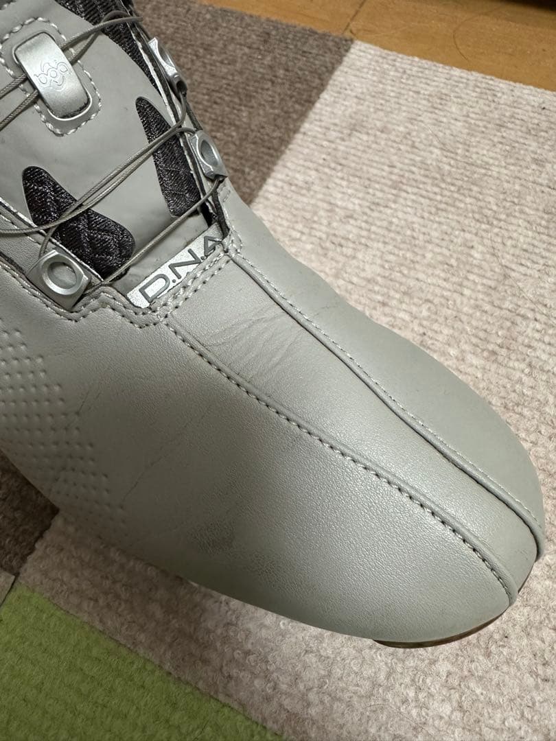 FJ DNA BOA 25cm アダムスコット愛用 名器 ゴルフシューズ