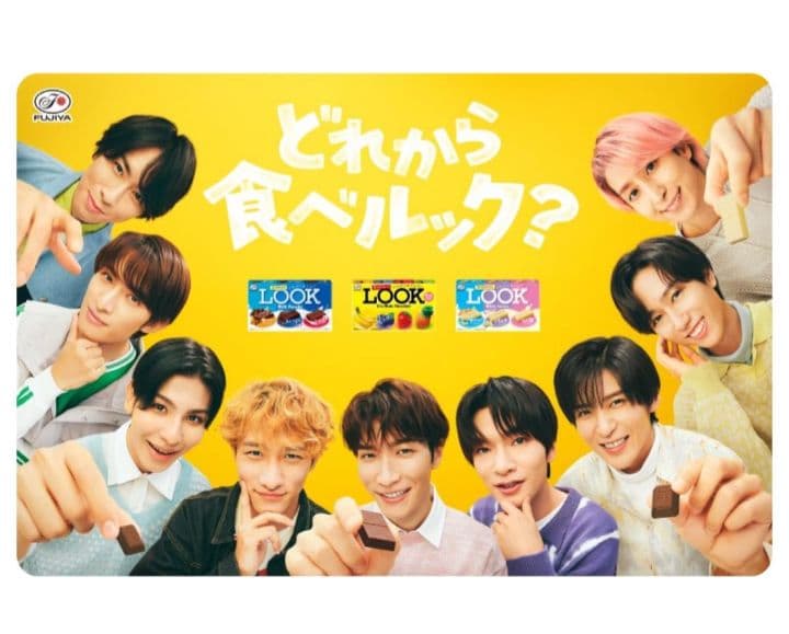 わたしの幸せな結婚 パンフレット シュシュ 巾着 タオル　LOOKステッカー