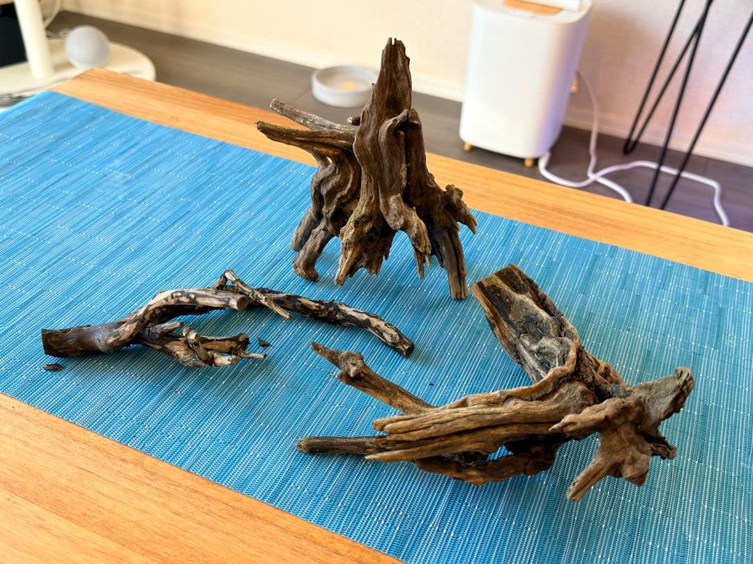 60cmスリム水槽 他16点セット