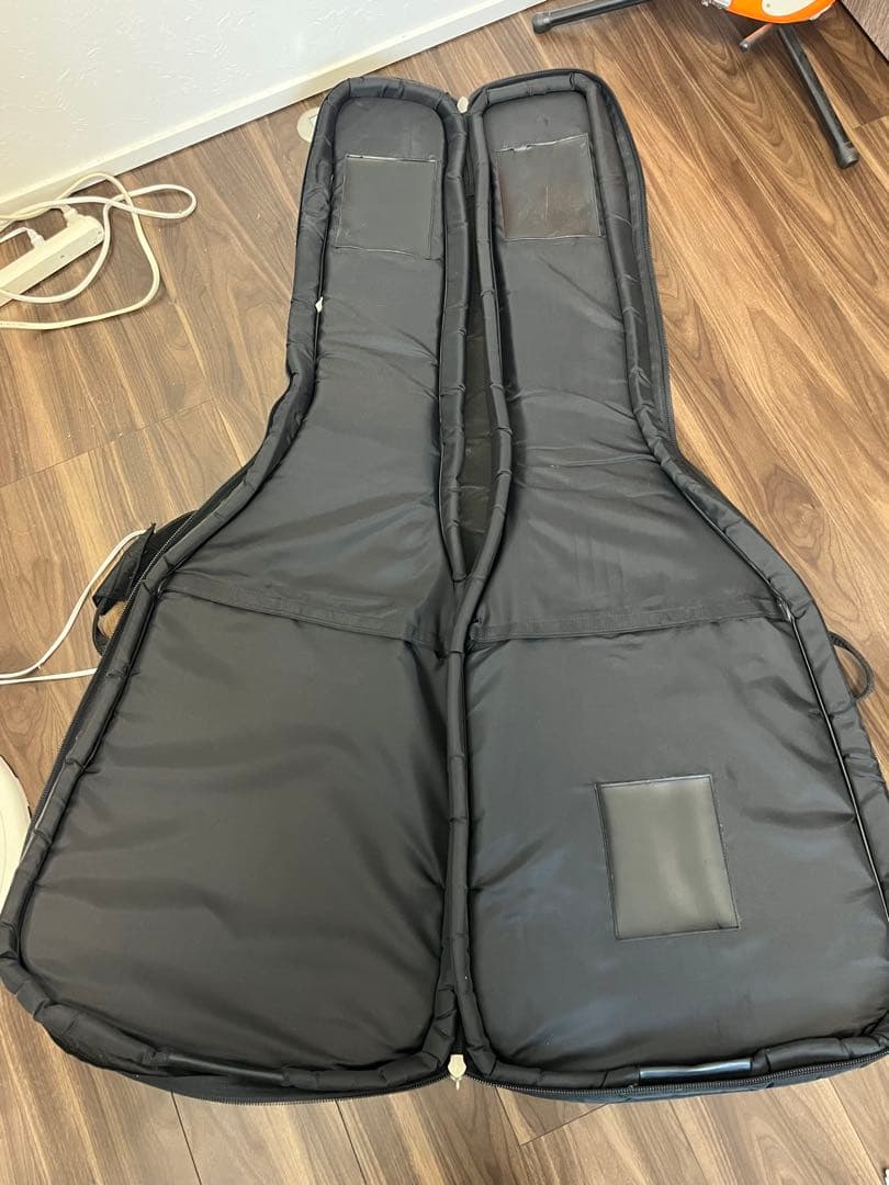 ESP Customパッシブ　1ハム　1ボリューム　ホワイトアッシュ