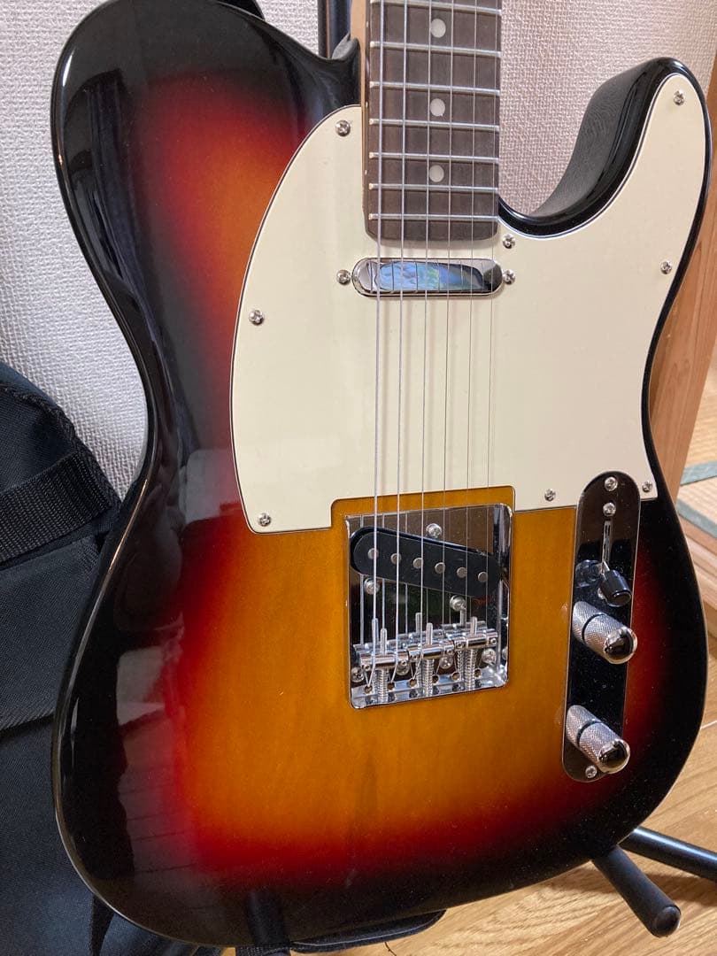 旧ロゴBacchus BTE- 250R バッカステレキャスター