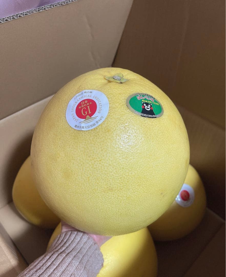 晩白柚　5玉セット。1玉　1,5~2kg