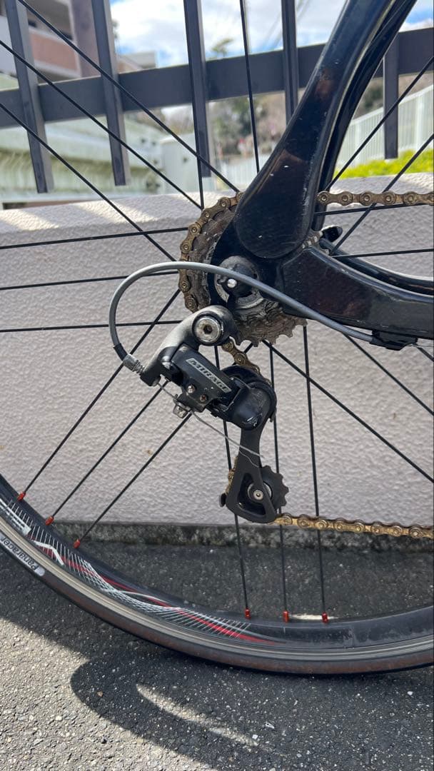 DE ROSA カンパニョーロ