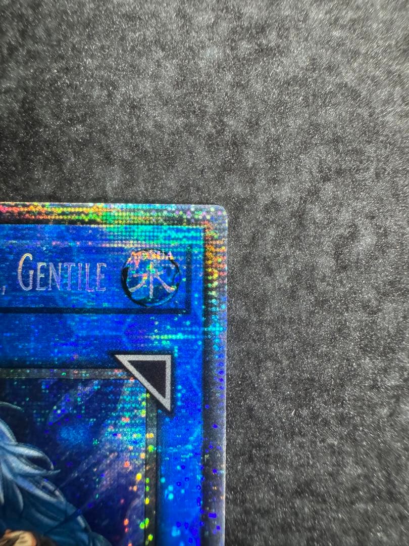 遊戯王 清冽の水霊使いエリア スターライト イタリア語