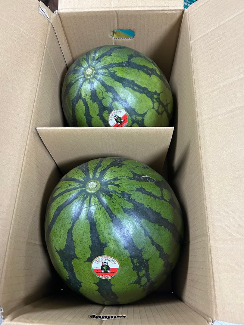 熊本県スイカ秀Lサイズ2玉入り 約14kg