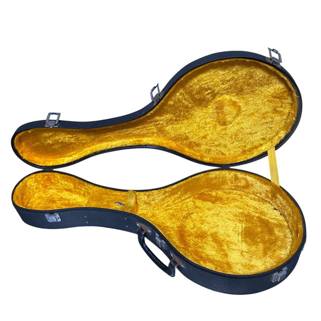 【希少品】IBANEZ エレキマンドリン　ハードケース付　マンドリン