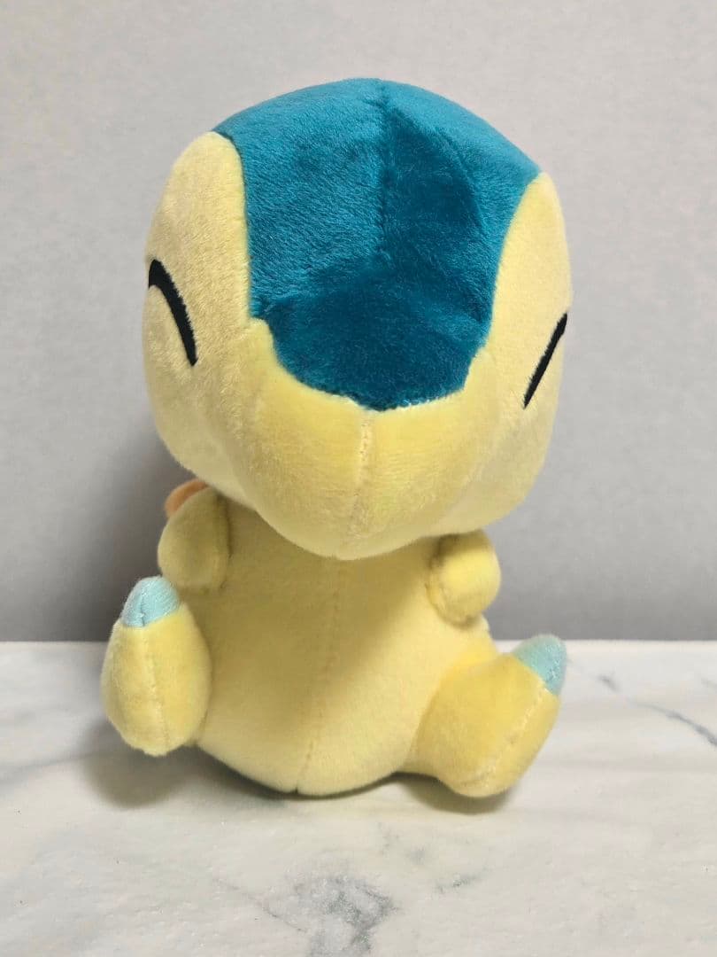 ヒノアラシドール　ポケセン