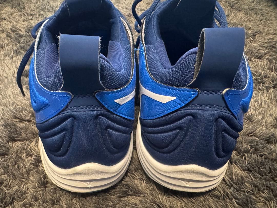 Mizuno ウェーブモーメンタム 3 Mid 29cm