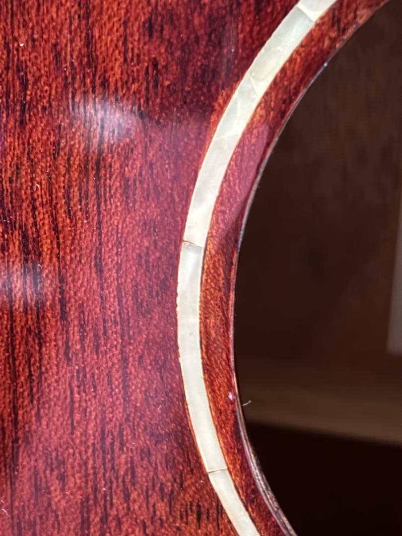 オールマホガニートップ単板/Elvis Ⅱ 未使用に近い状態です！