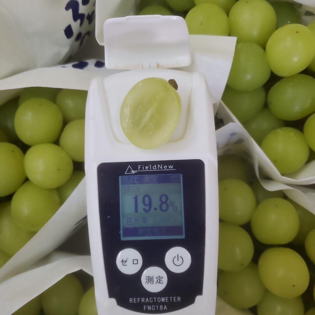 1⃣1⃣ 山梨県産 シャインマスカット ８房入り 箱込み4.4キロ