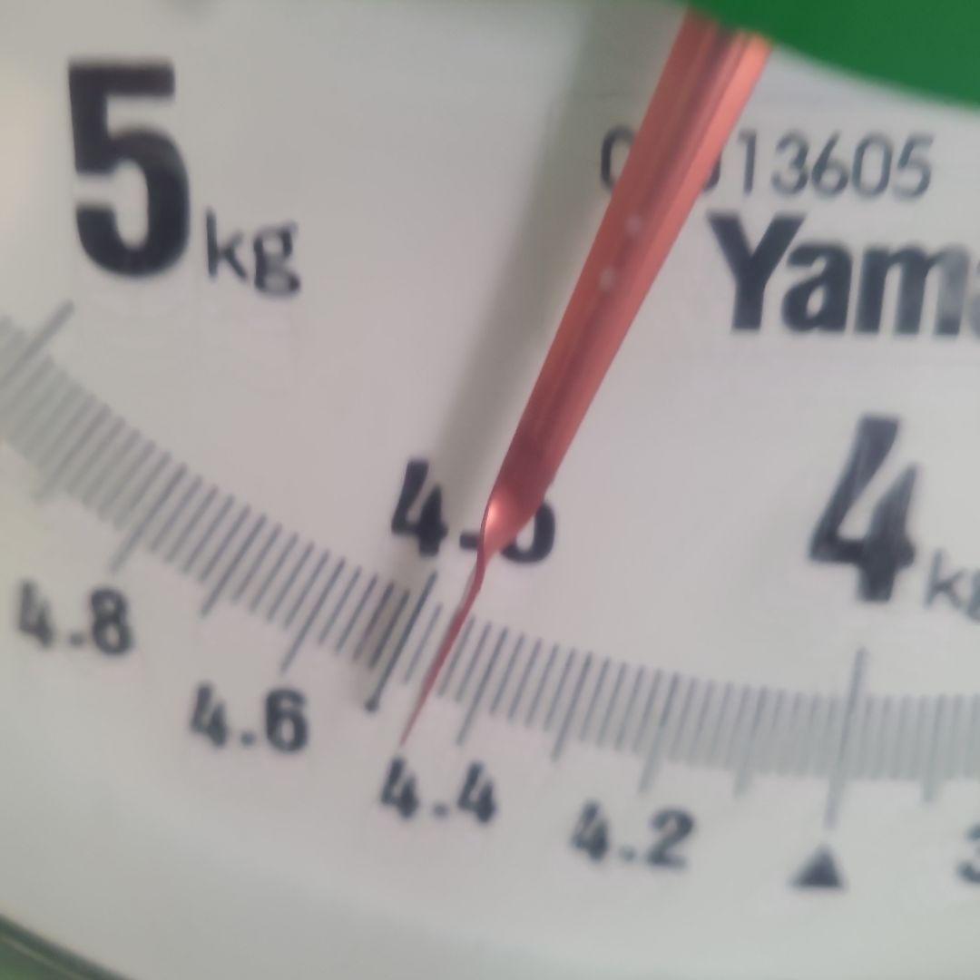 1⃣1⃣ 山梨県産 シャインマスカット ８房入り 箱込み4.4キロ