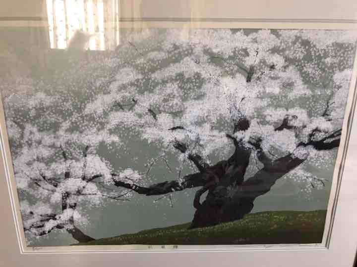 佐野せいじ　臥龍櫻