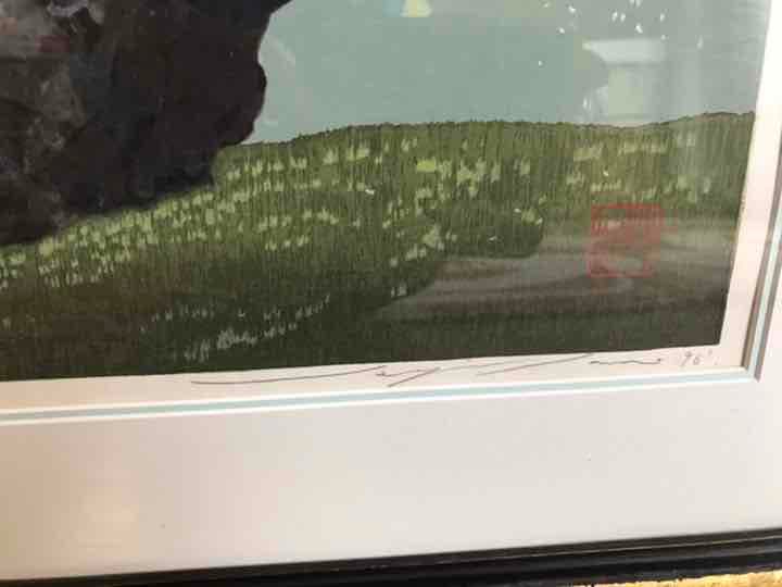 佐野せいじ　臥龍櫻