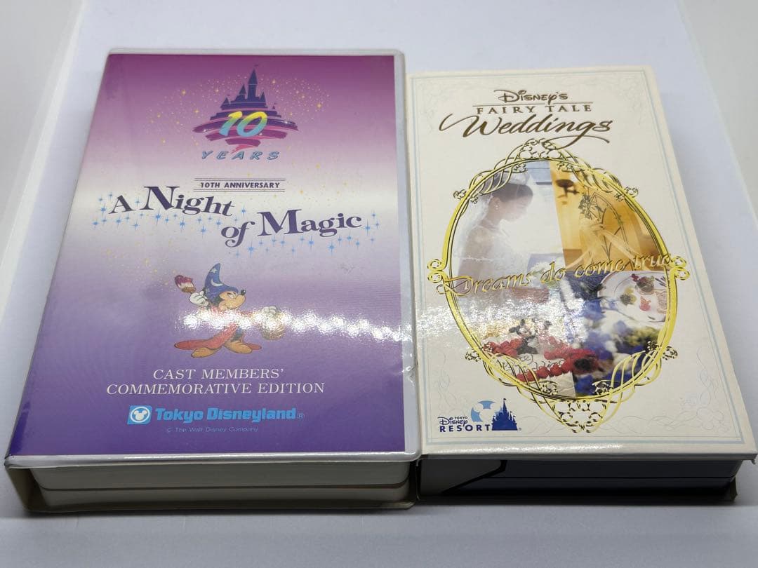 《希少》東京ディズニーランド10周年記念　フェアリーテイルウエディング　ビデオ