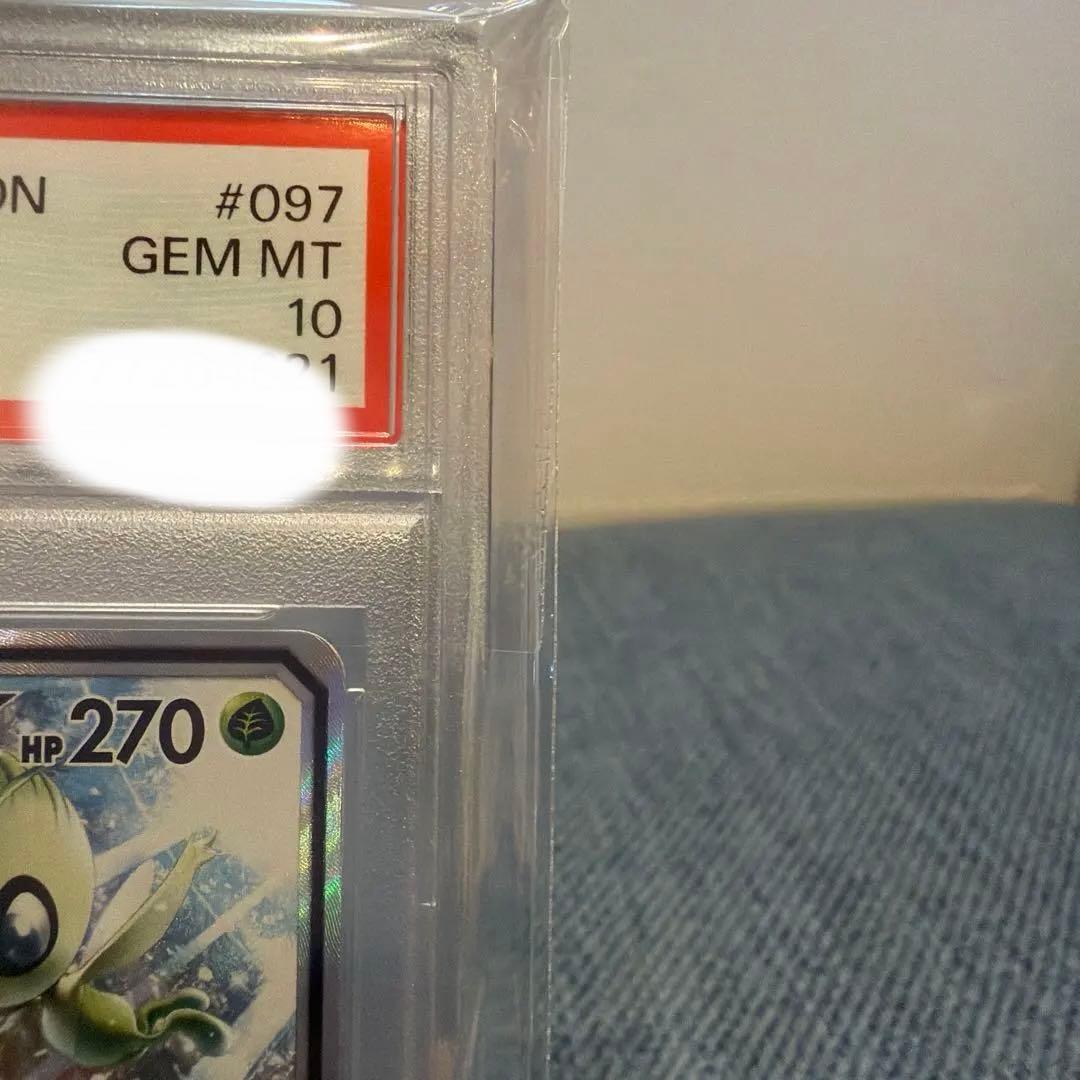 セレビィ＆フシギバナ SA タッグチーム PSA10 世界に901枚 希少