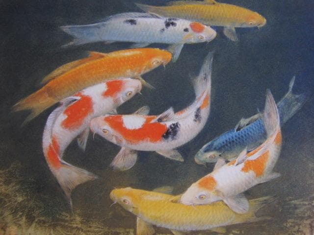 山下関城、【彩游】、希少な額装用画集より、新品額装付、状態良好