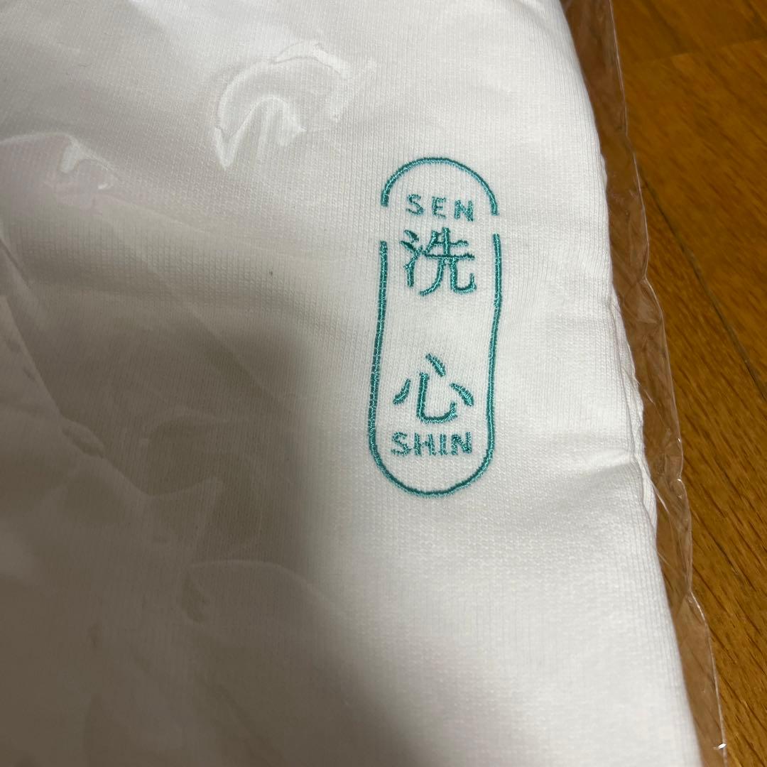 PEDRO アユニd 『洗心』日本武道館 10万チケ特典パーカー XL