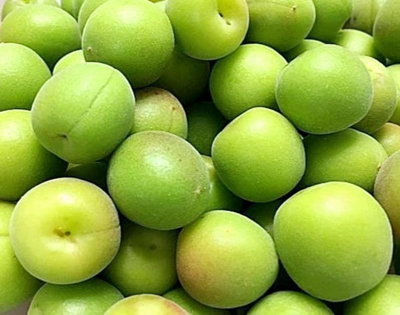 えぐちゃんページ 2kg