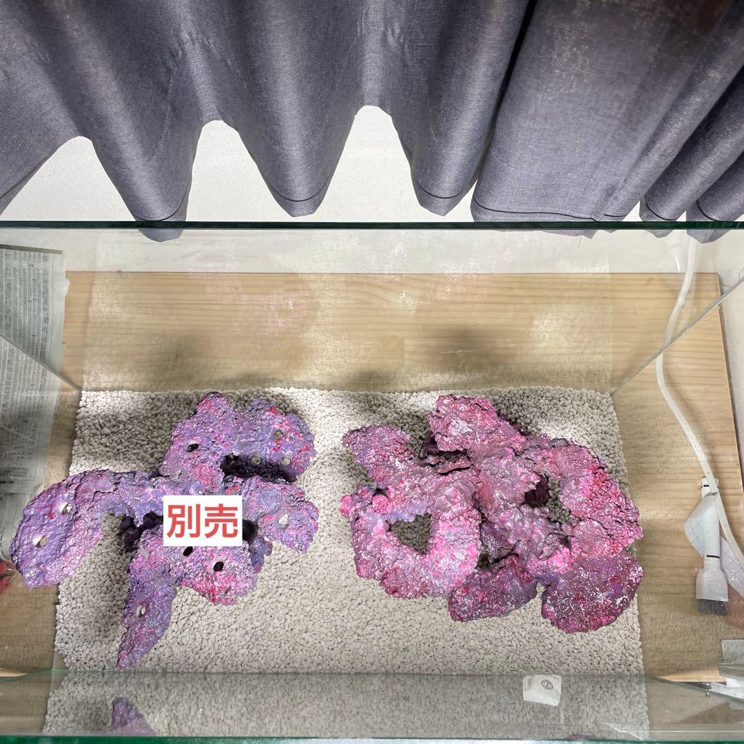 現物在庫SALE‼︎人工ライブロック　SHR23 アク抜き済み安心塗料使用