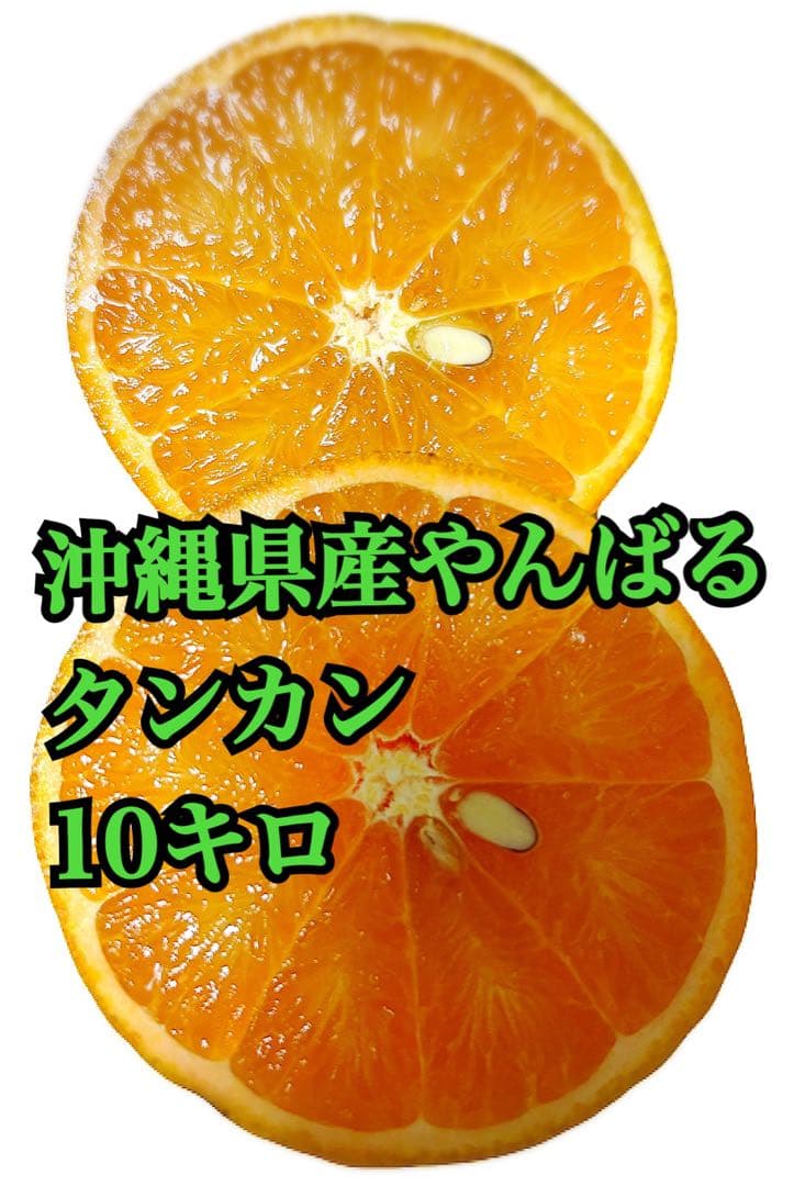沖縄県産やんばるタンカン　無農薬
