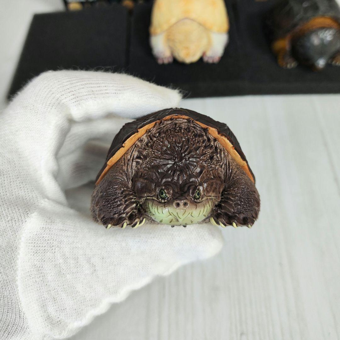 【動物の惑星】★激レア★第1弾亀廃盤品ワニガメ+カミツキガメ!! フィギュア