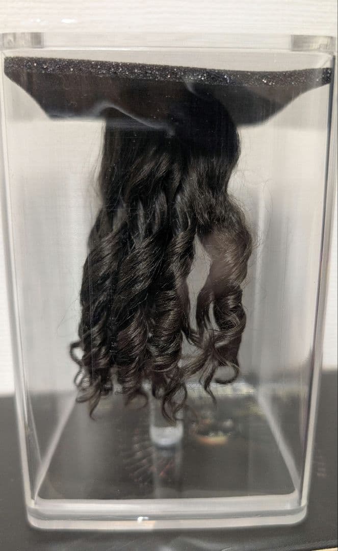 ワンダーウーマン ホットトイズ ワーナー・ブラザーズ100周年1/6フィギュア