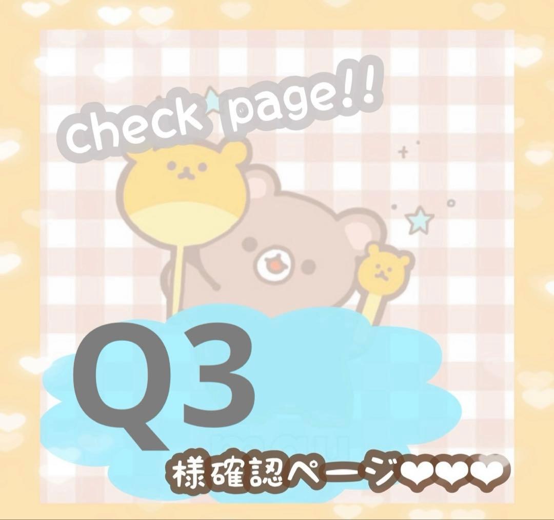 Q3様確認ページ
