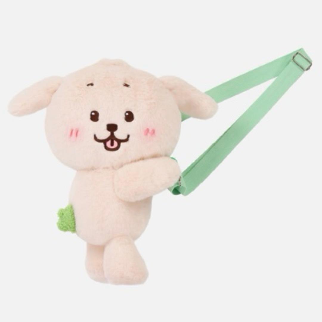 NCTWISH ジェヒ デントリバー バッグ カバン キャラクター 新品未開封