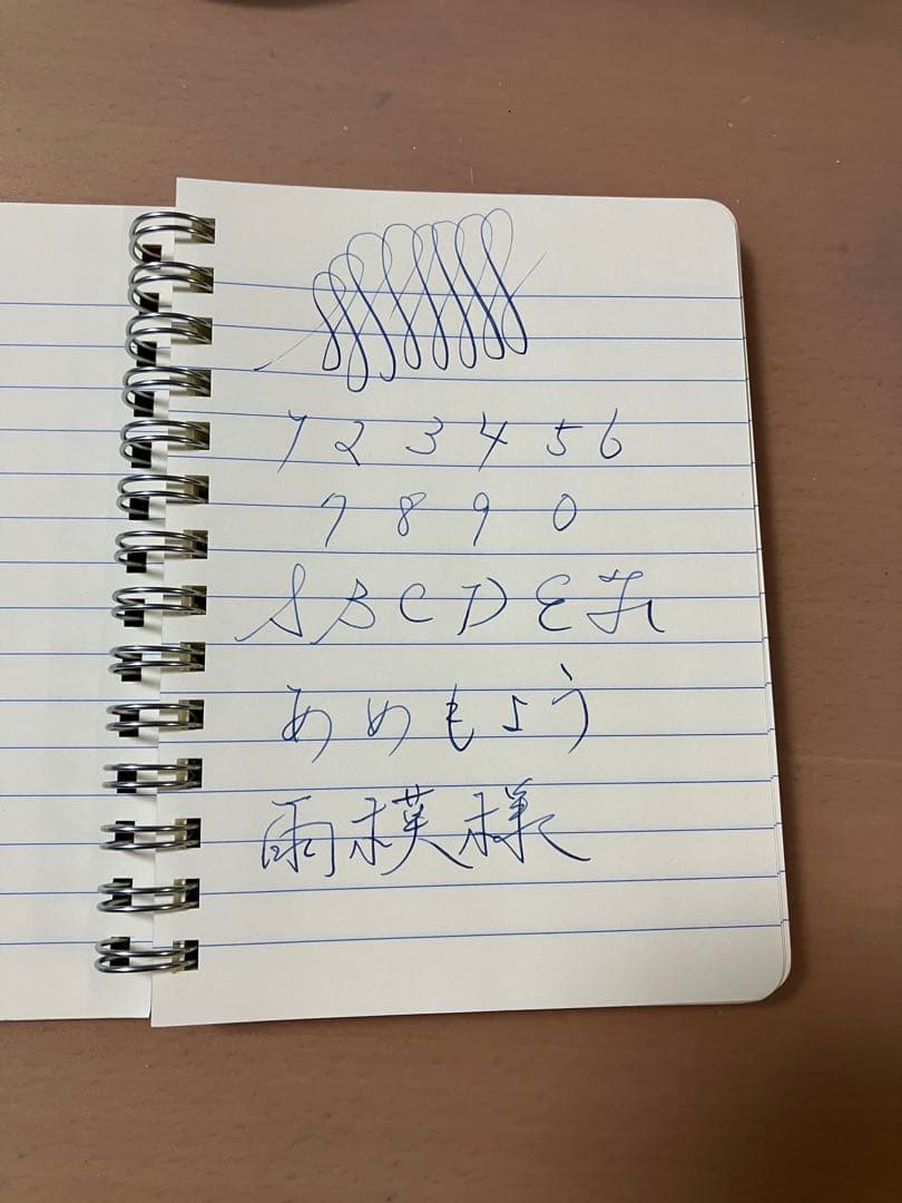 両ベロ　Hartman 万年筆 細字　14金