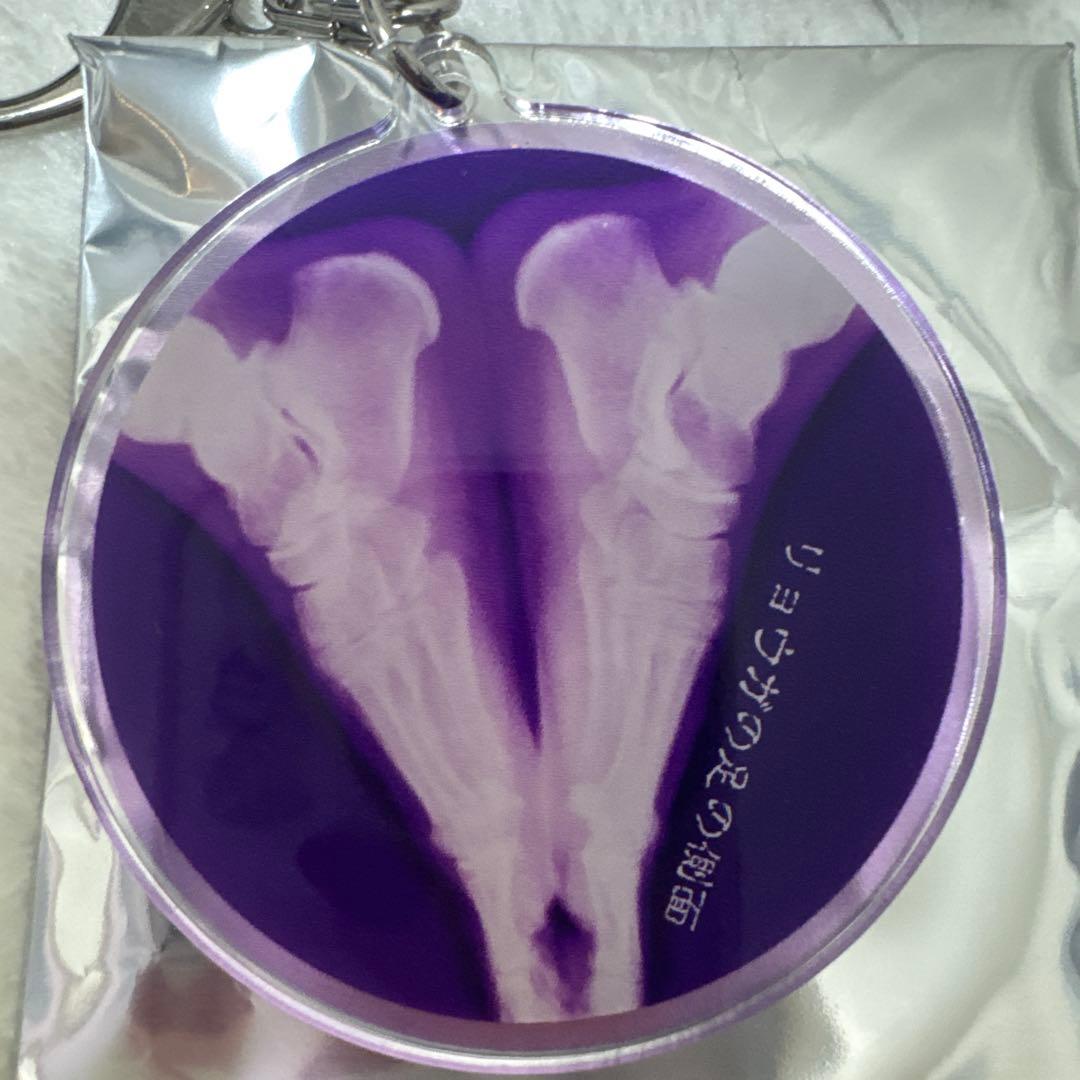 リョウガ 2023生誕グッズ レントゲンアクキー