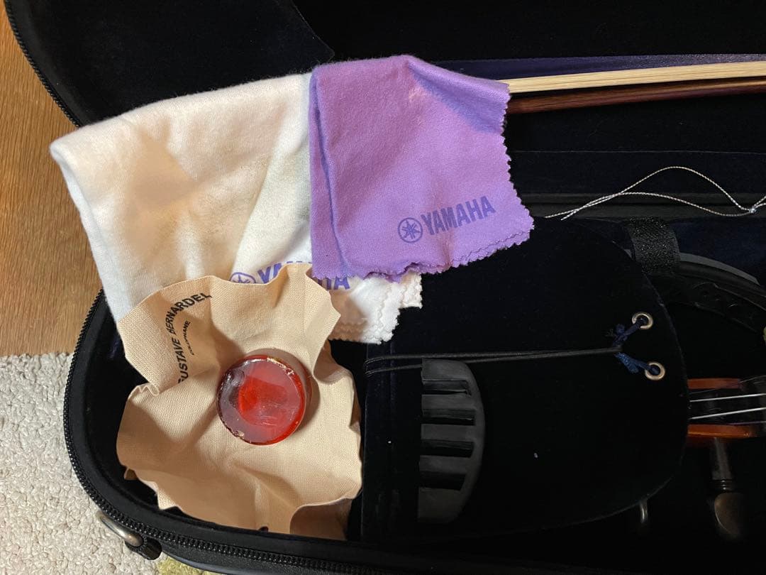 Eastman SVL80セット 4/4 バイオリン