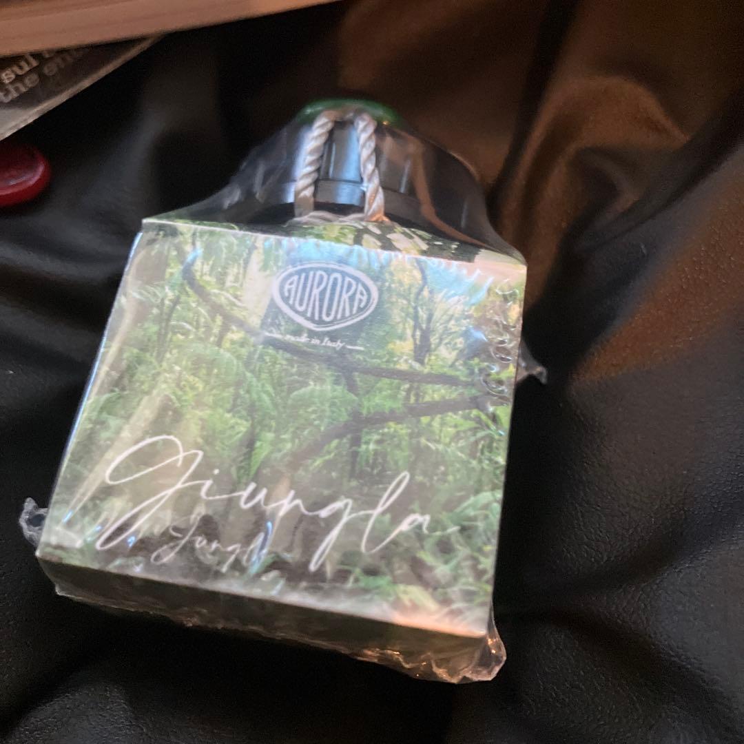 アウロラ　万年筆　ジュングラ　アンビエンテ　EF