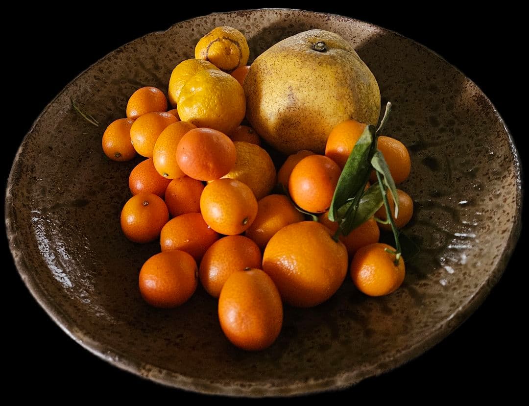 陶器の皿 自然な模様付き