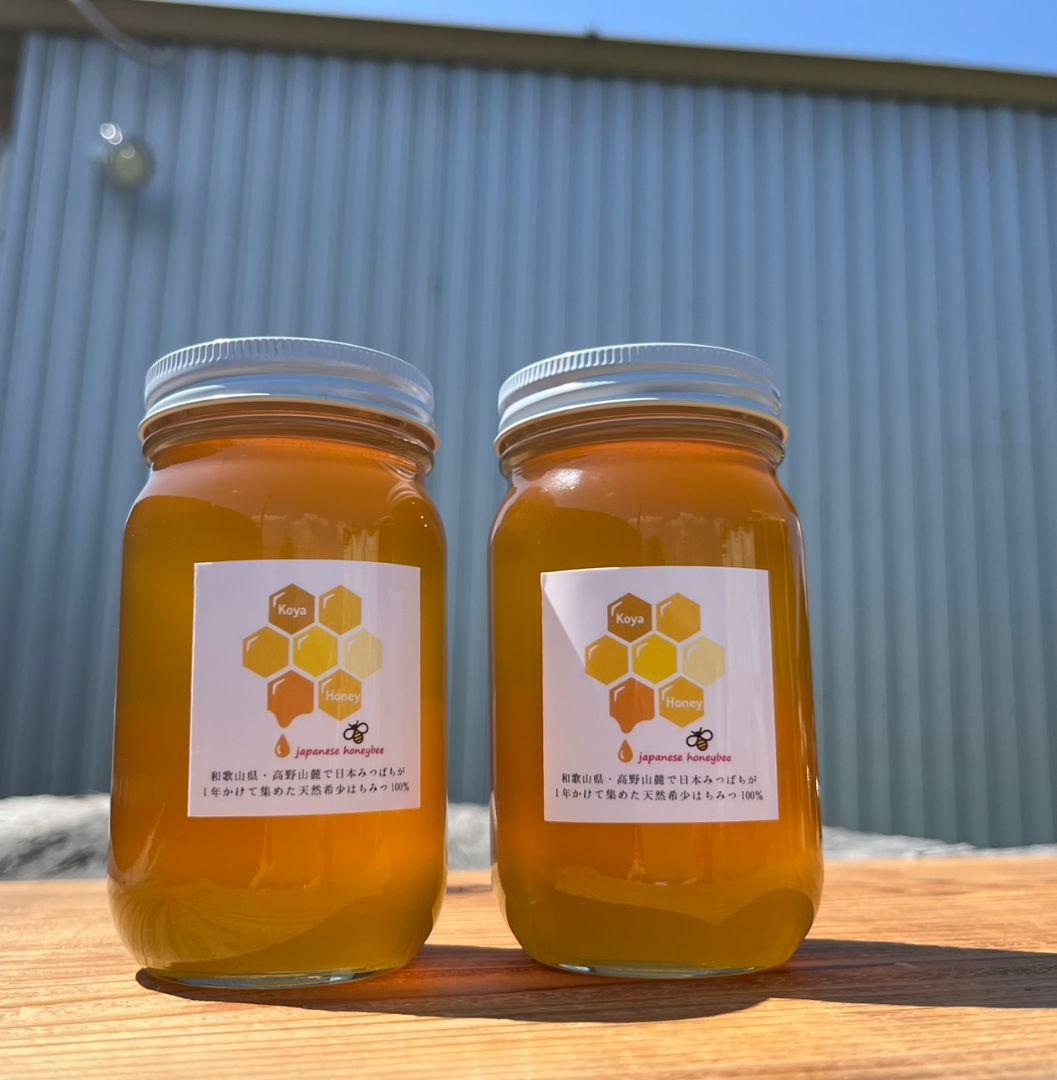 天然熟成2年　希少　日本ミツバチ 国産天然はちみつ100%600g(Y1Y2箱)