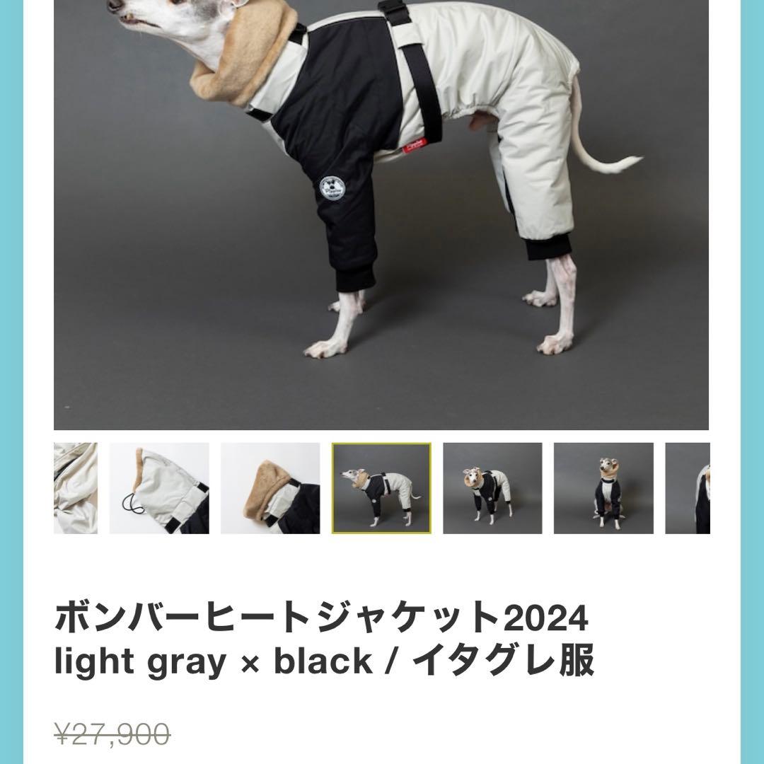 イタグレPippino ボンバーヒートジャケット ライトグレー×ブラック美品 M