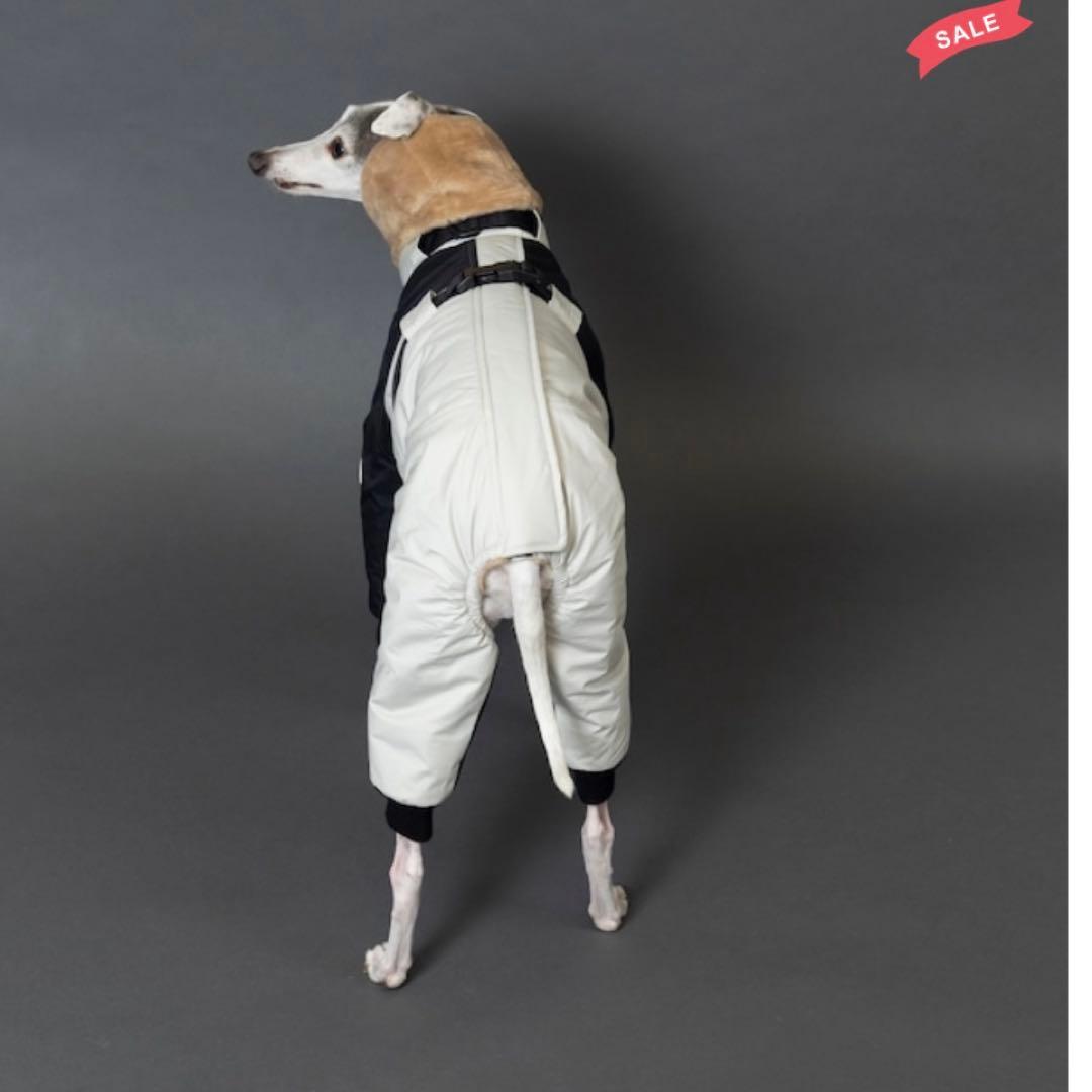 イタグレPippino ボンバーヒートジャケット ライトグレー×ブラック美品 M