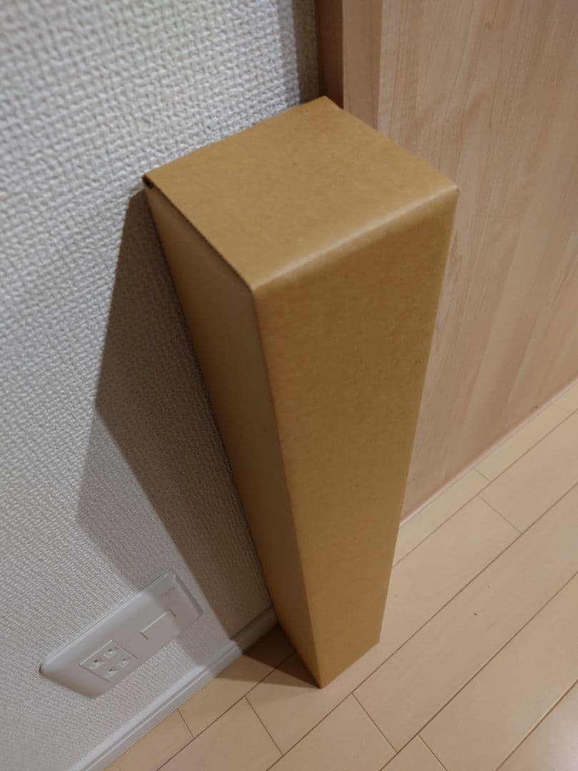 【希少】 童夢 大友克洋 ポスター 爆音映画祭限定 AKIRA