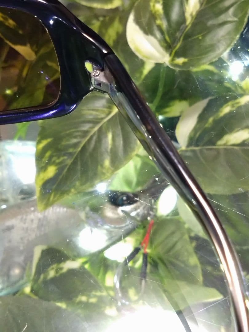 廃盤※サイトマスター 【 セブンツー 】偏光サングラス　TALEXタレックス