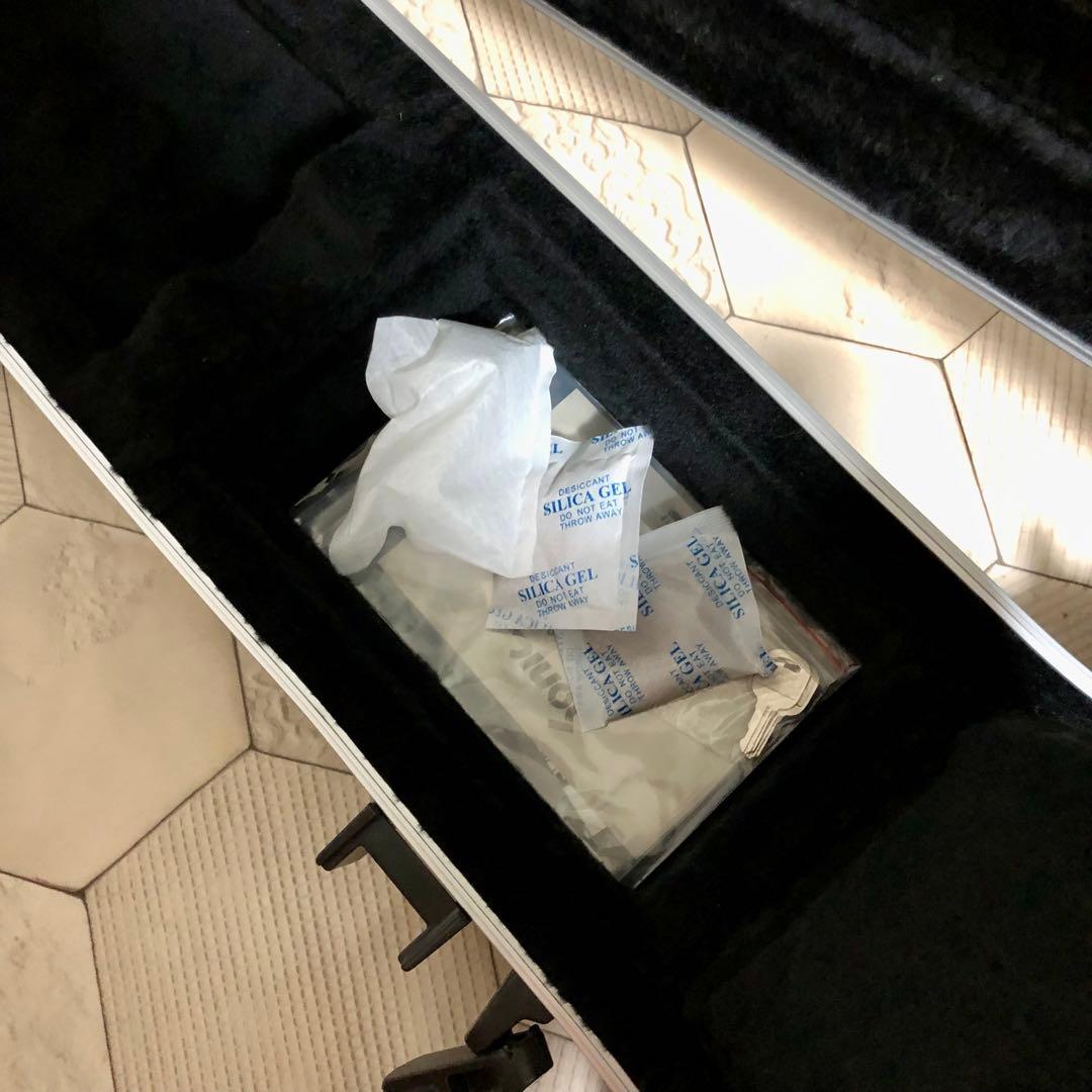 ち*び様 Sonic レスポールスペシャルタイプ