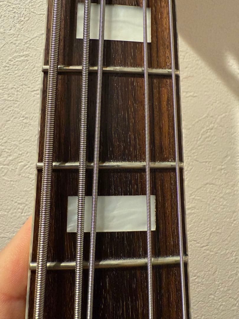 エレキベース Bacchus STD-JB5 5弦アクティブ　ASH 定価14万