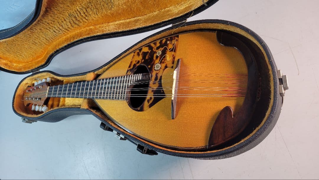 木製アーチトップ手工品マンドリン 8弦 ケース付き