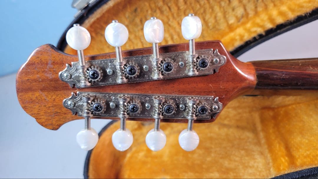 木製アーチトップ手工品マンドリン 8弦 ケース付き