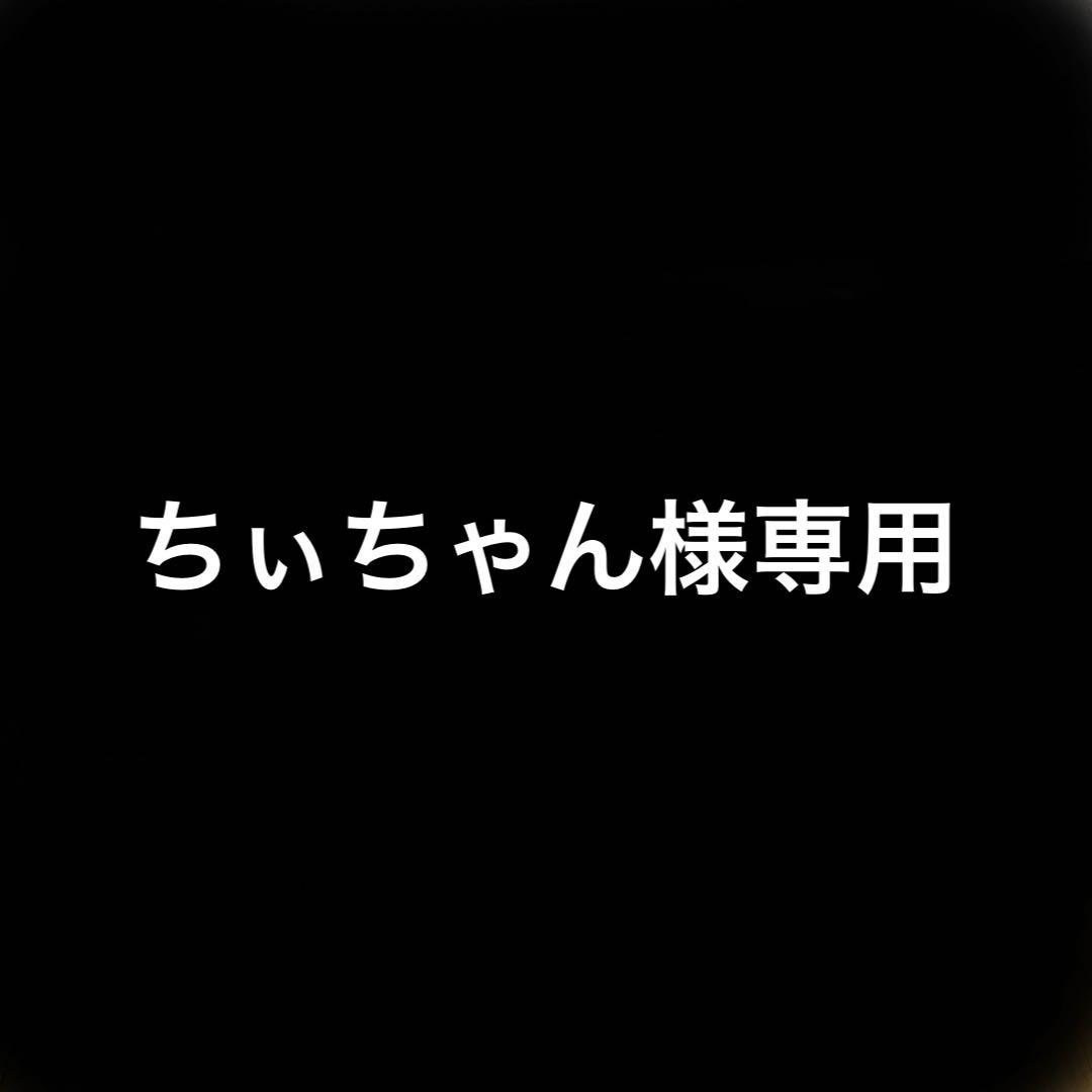 【2週間保証付き】スズキ大 正琴伴奏 あゆ TES-151 希少品 大正琴