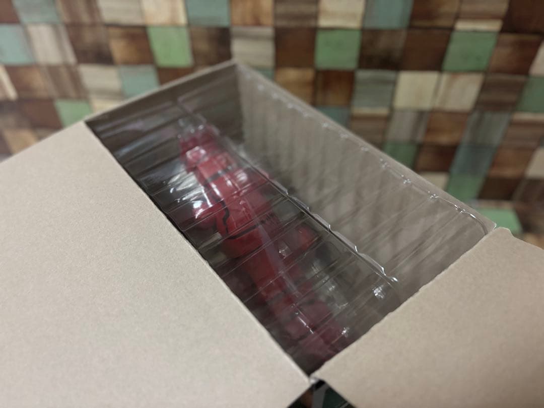 トキ ポケモンスケールワールド ホウエン地方 グラードン