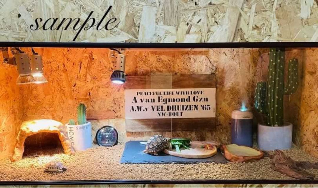 まさよし　爬虫類ケージ　木製ケージ　 900×600フルオプション